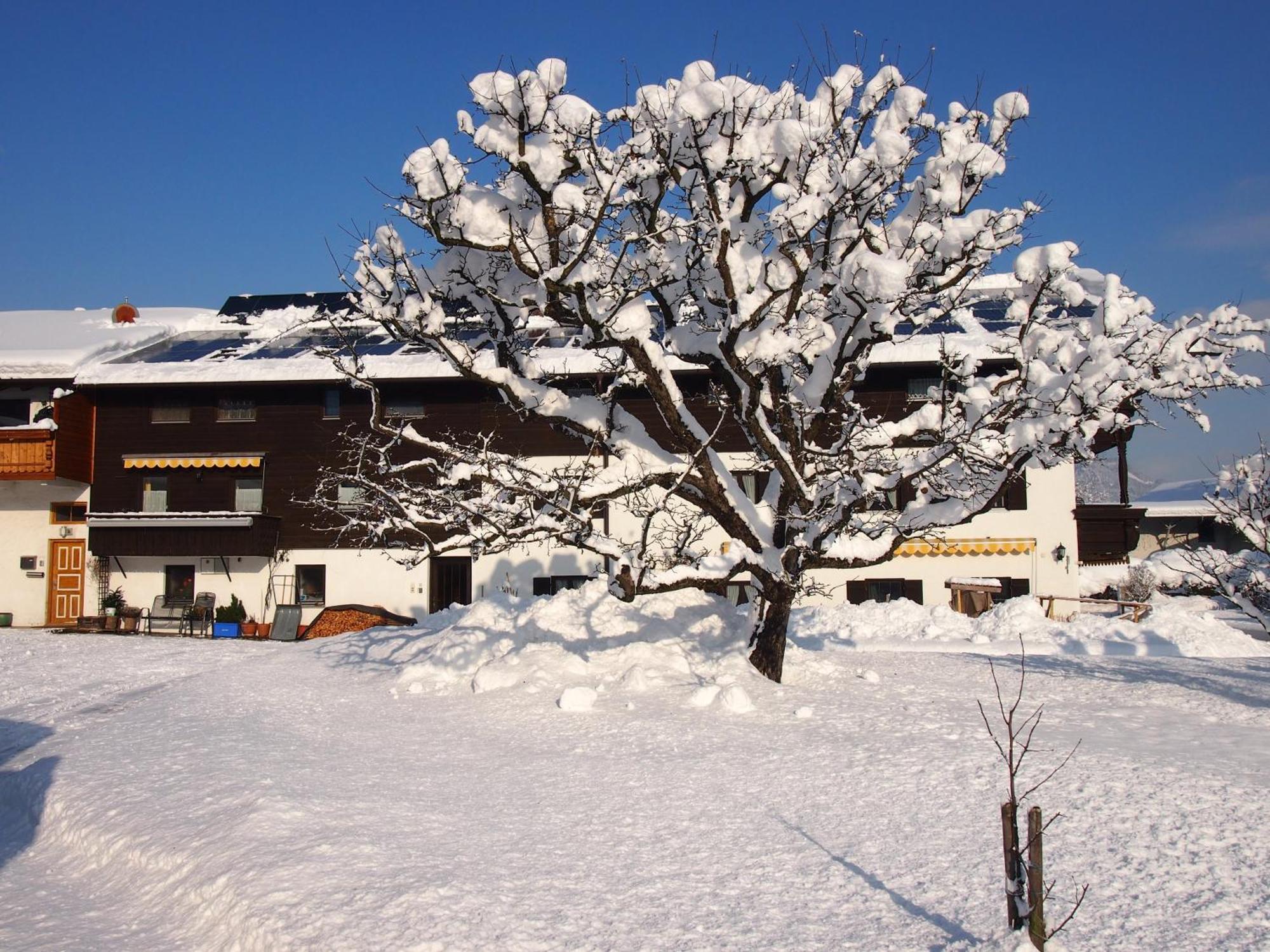 Pension Wagnerhof Oberaudorf Eksteriør bilde